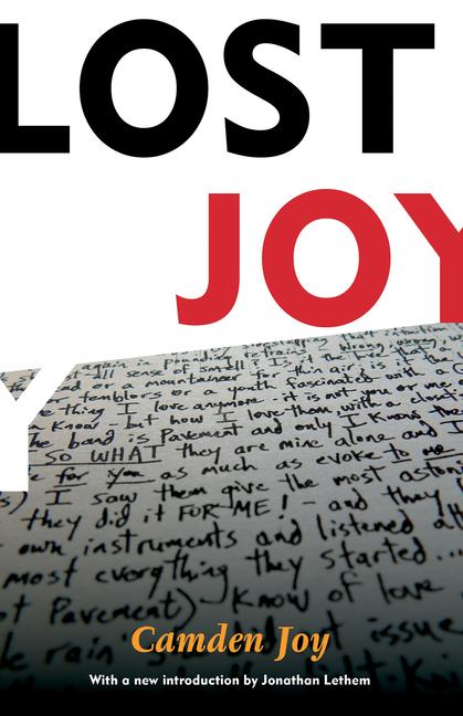 Vorderes Coverbild Lost Joy