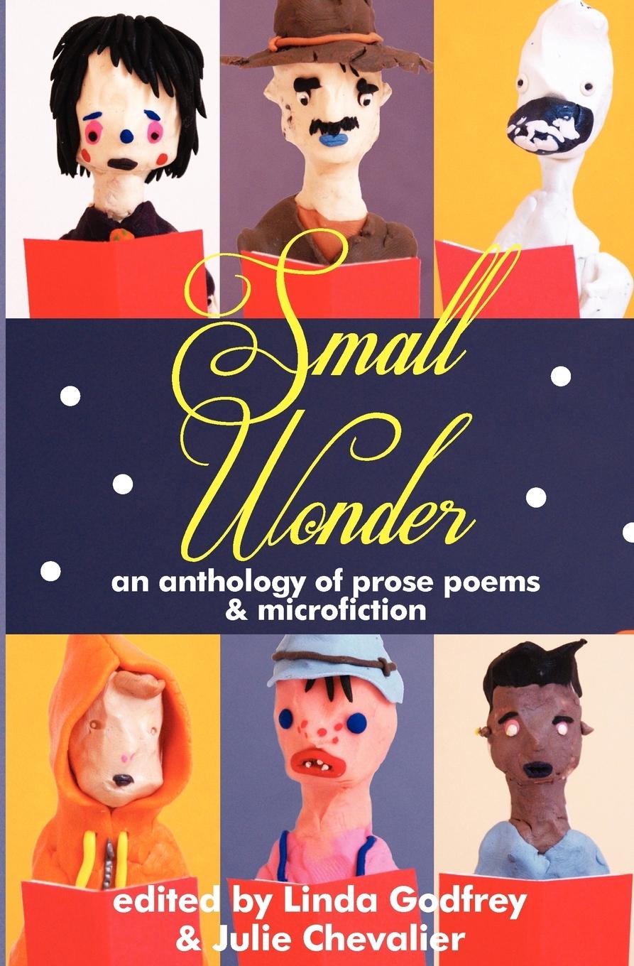 Vorderes Coverbild Small Wonder
