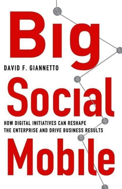 Vorderes Coverbild Big Social Mobile