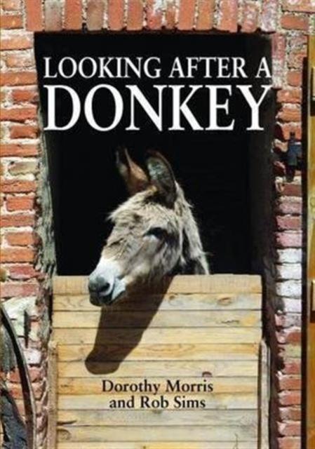 Vorderes Coverbild Looking After a Donkey