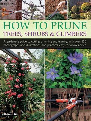 Vorderes Coverbild How to Prune Trees, Shrubs & Climbers