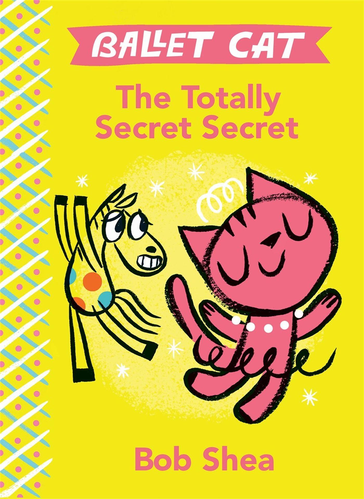 Vorderes Coverbild The Totally Secret Secret
