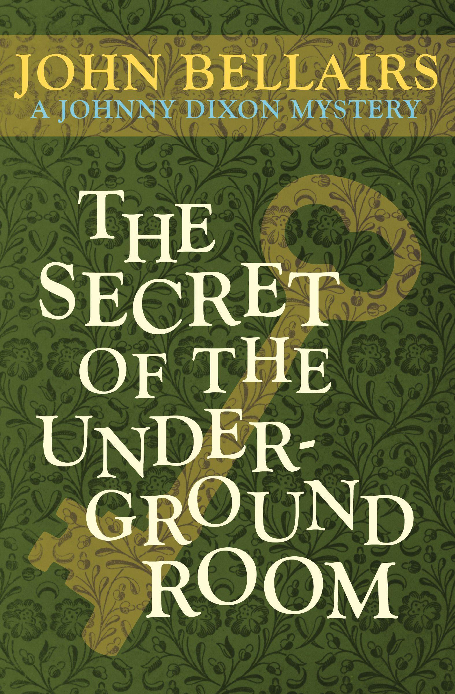 Vorderes Coverbild The Secret of the Underground Room