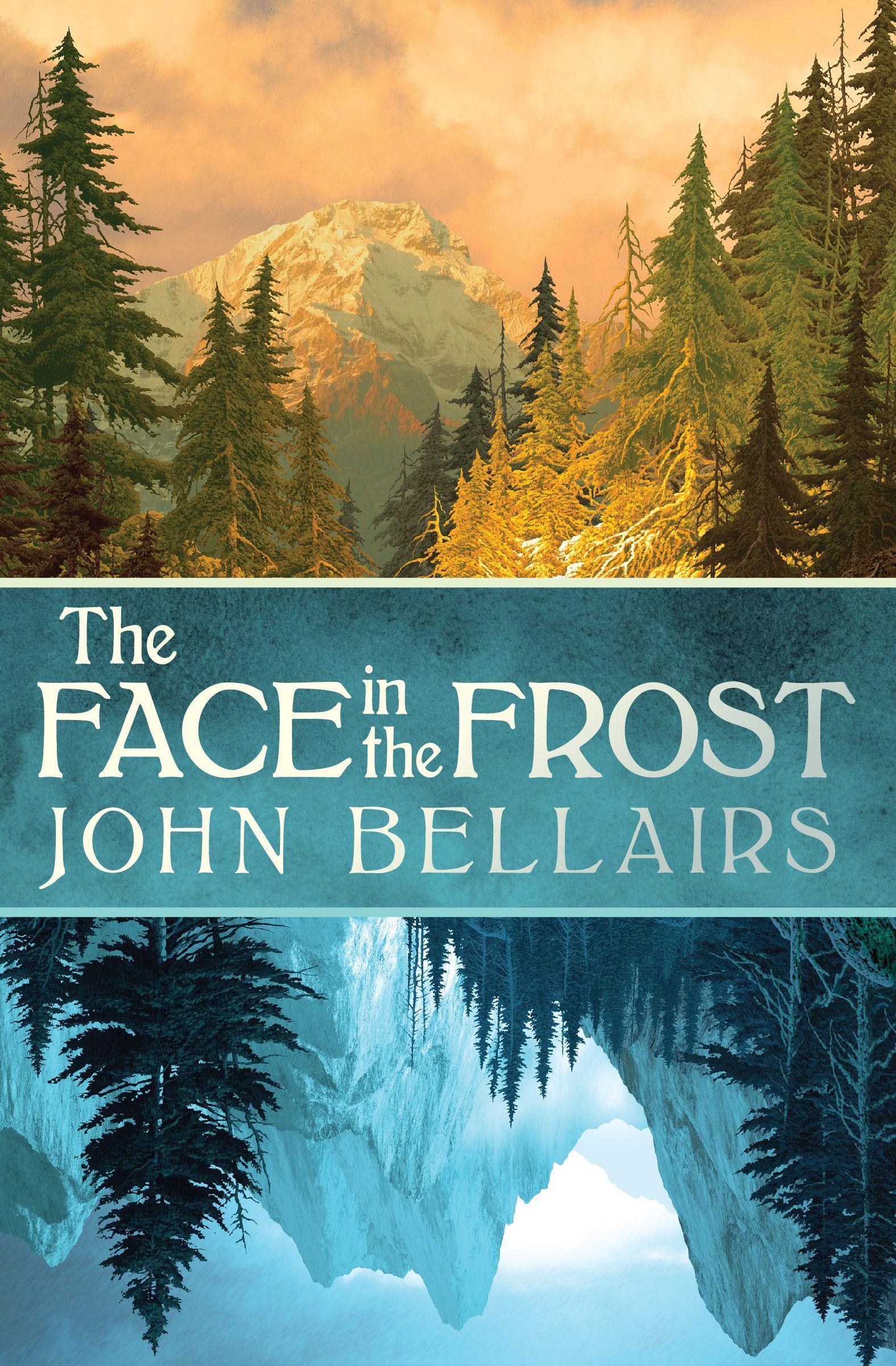Vorderes Coverbild The Face in the Frost