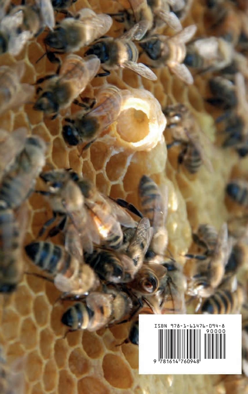 Rückseitencover El Apicultor Practico Volumenes I, II & III Apicultor Natural