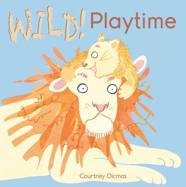 Vorderes Coverbild Playtime