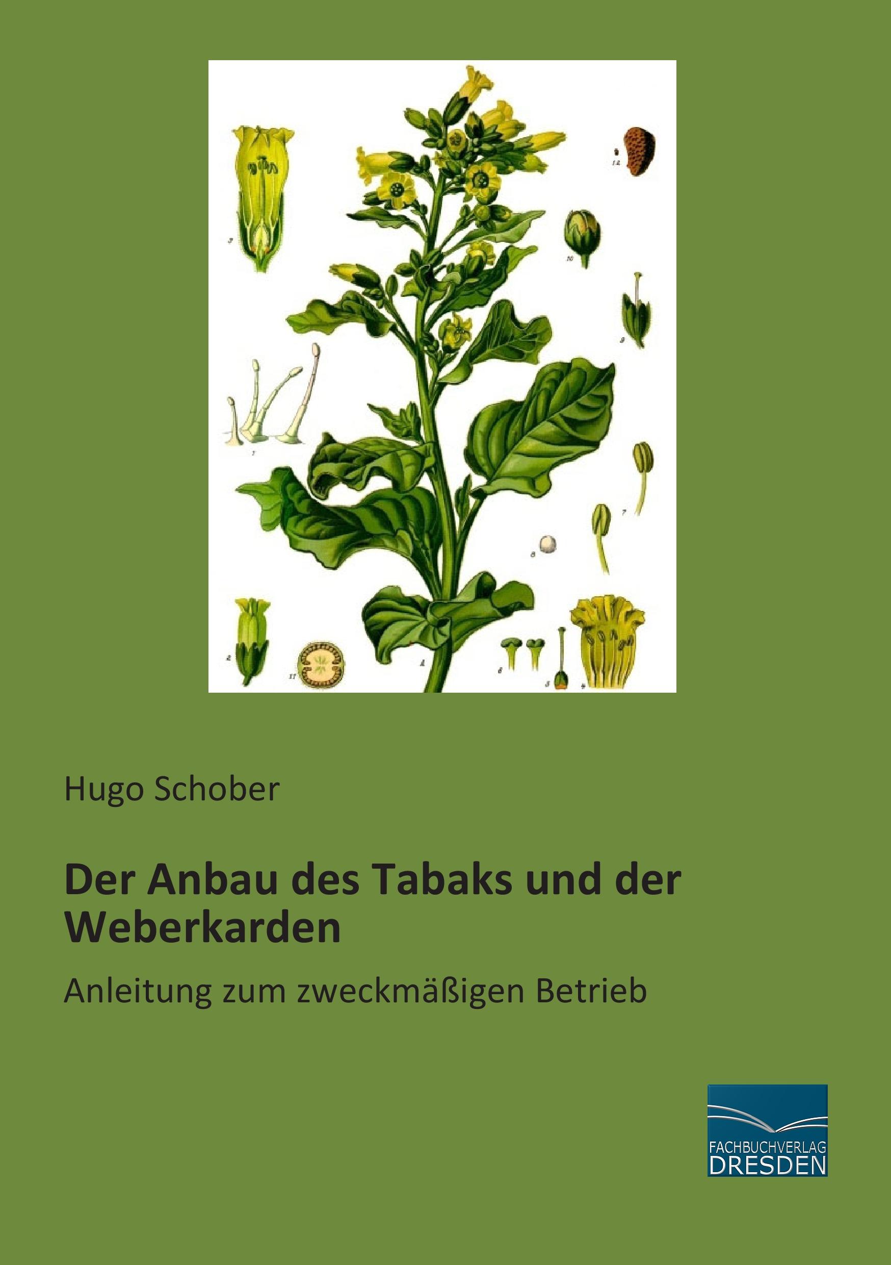 Vorderes Coverbild Der Anbau des Tabaks und der Weberkarden