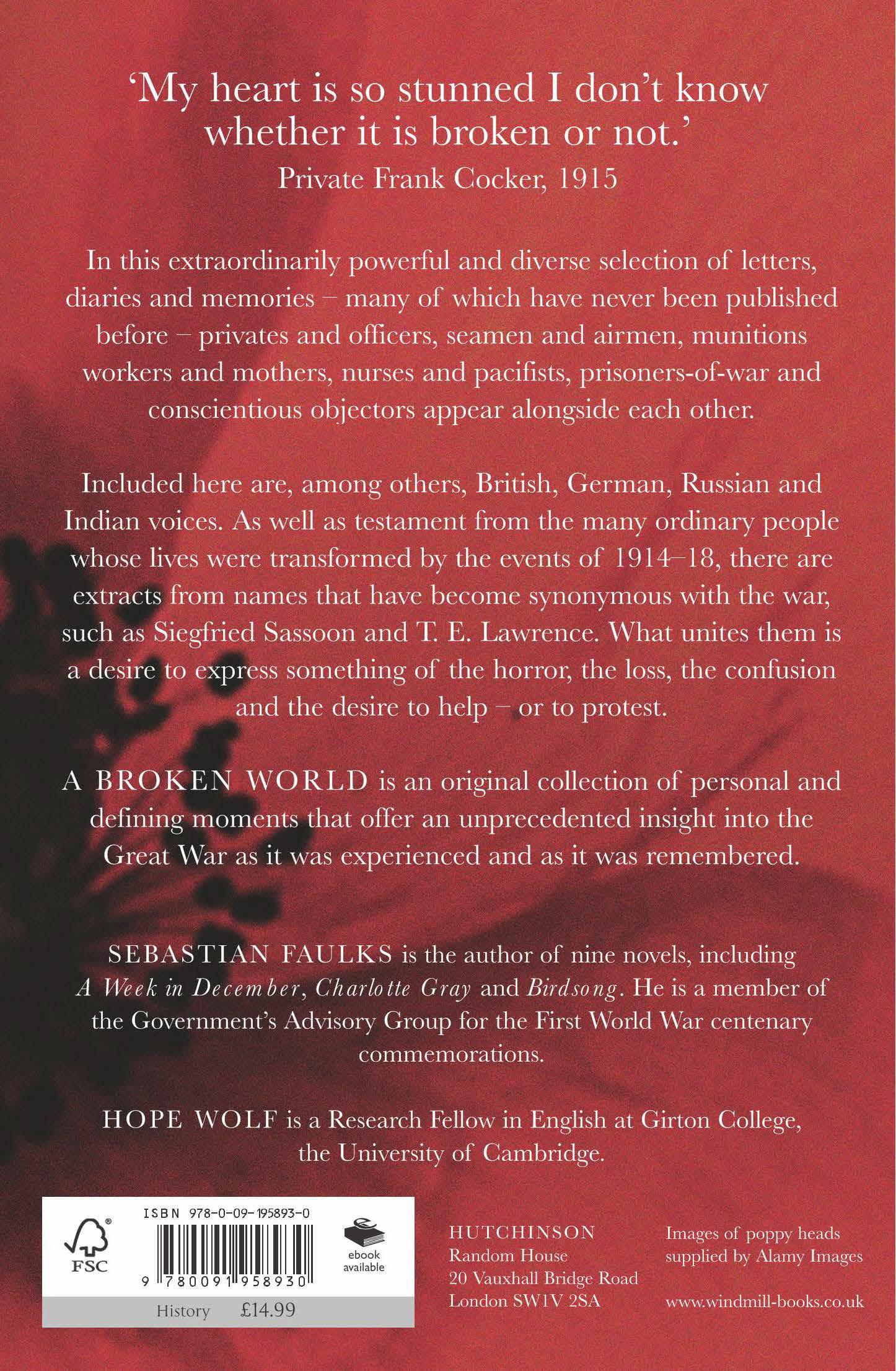 Rückseitencover A Broken World