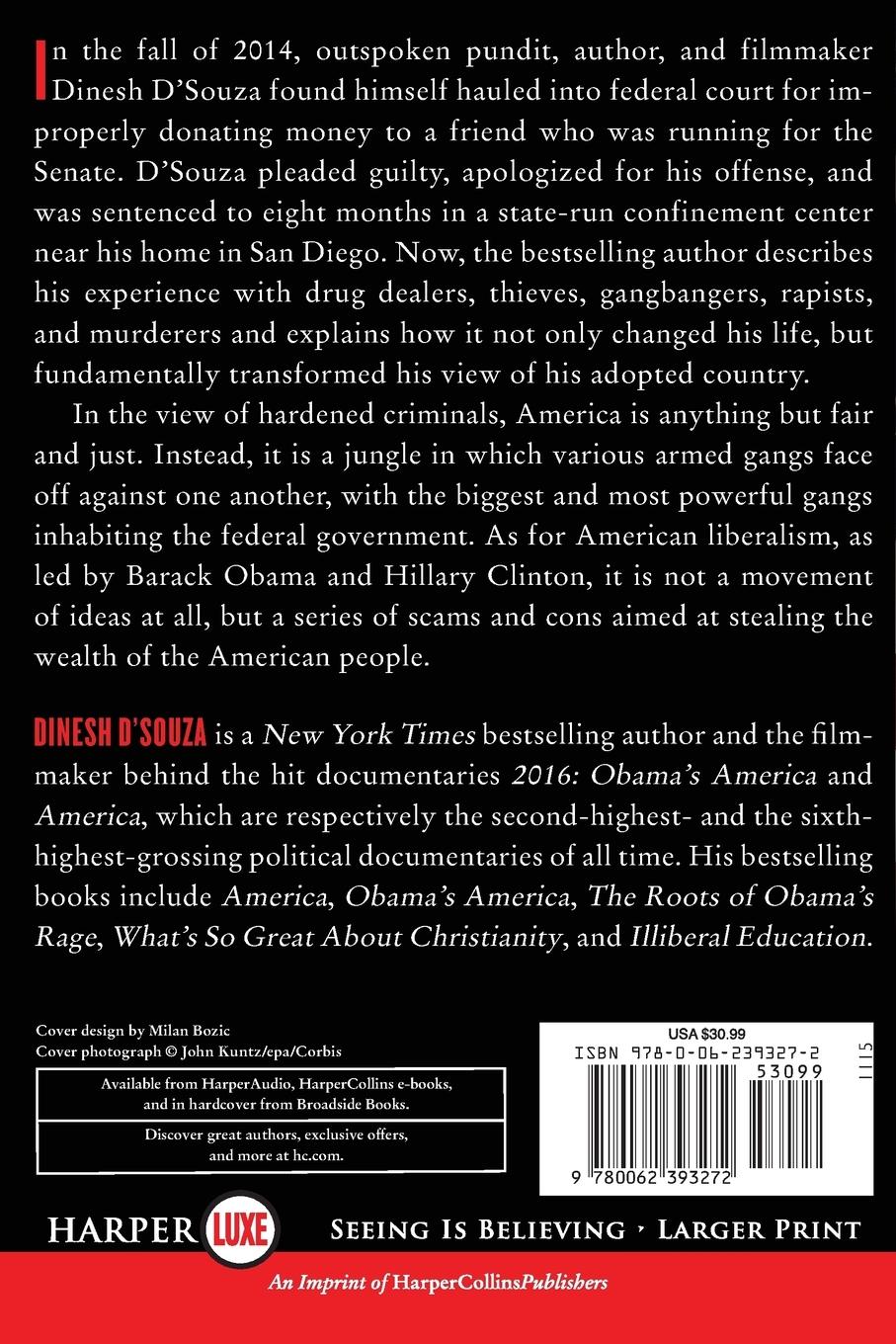 Rückseitencover Stealing America