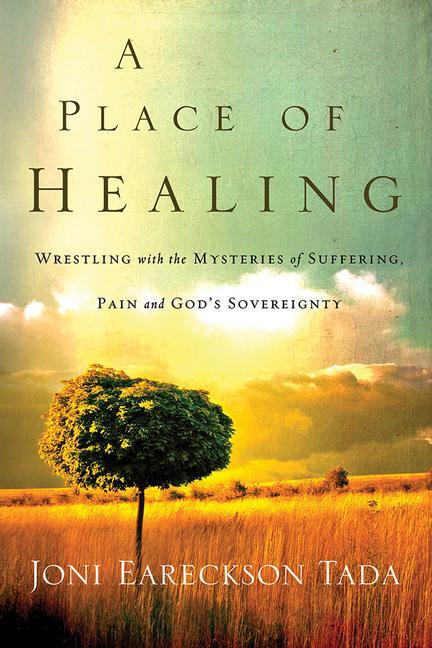 Vorderes Coverbild A Place of Healing