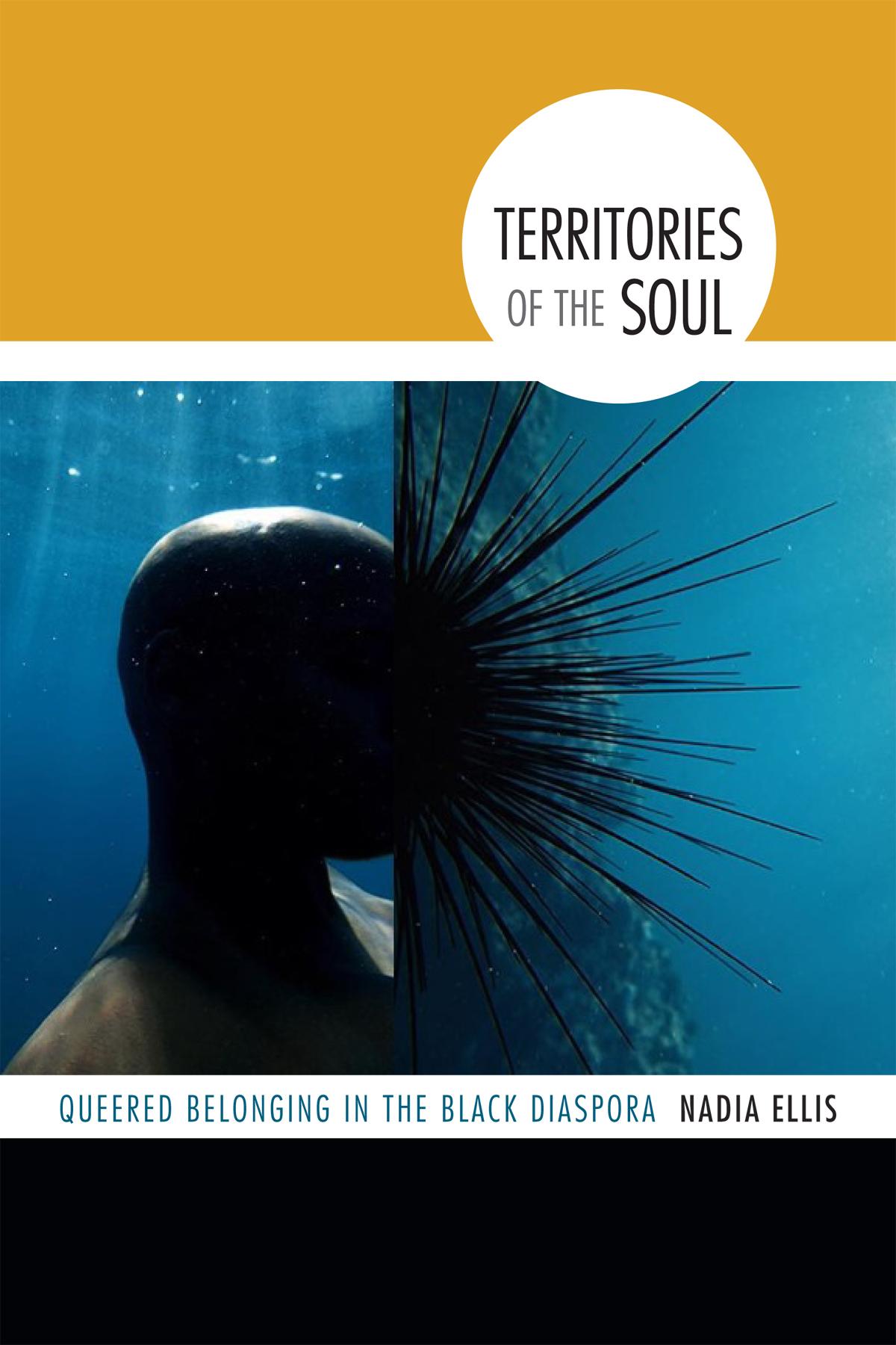Vorderes Coverbild Territories of the Soul