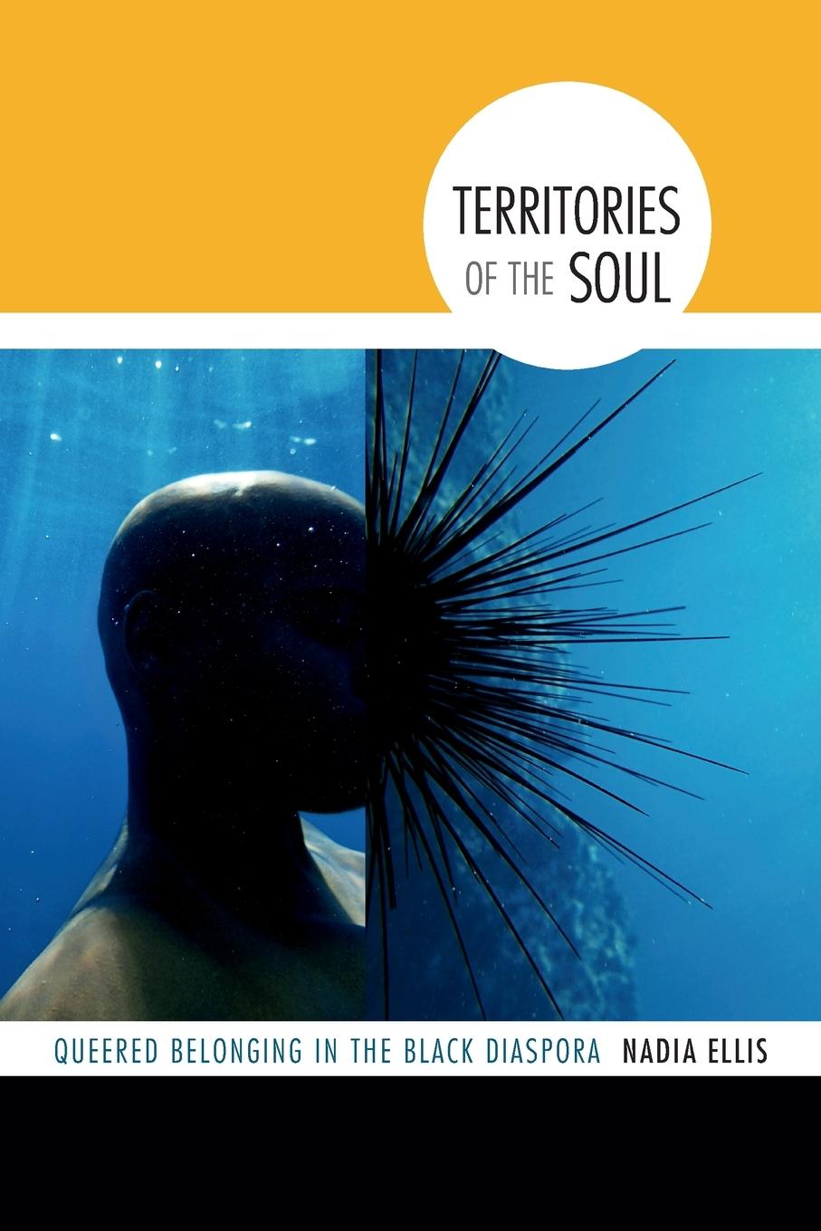 Vorderes Coverbild Territories of the Soul