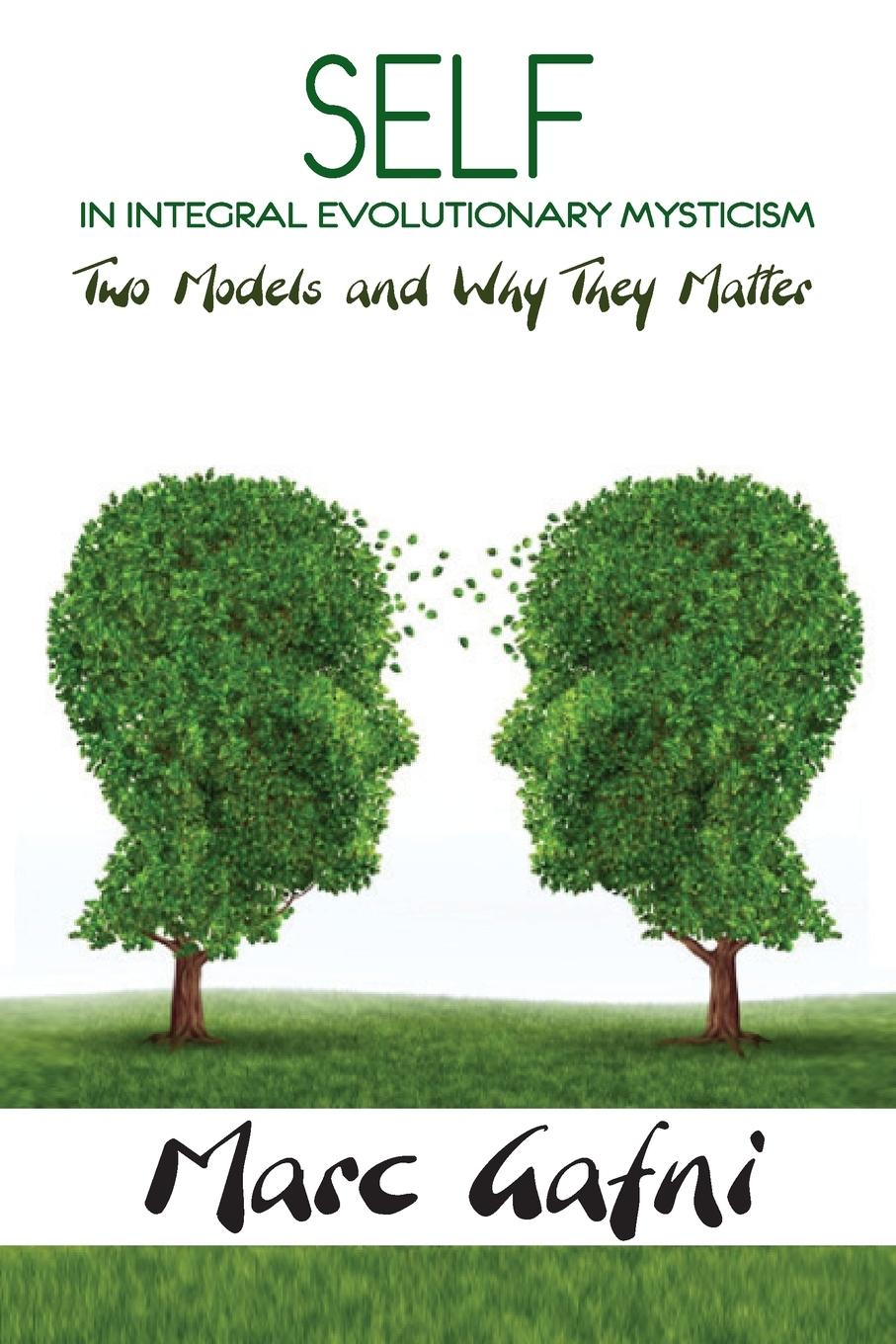 Vorderes Coverbild Self in Integral Evolutionary Mysticism