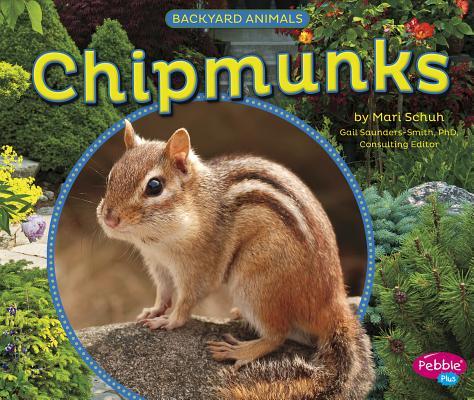 Vorderes Coverbild Chipmunks