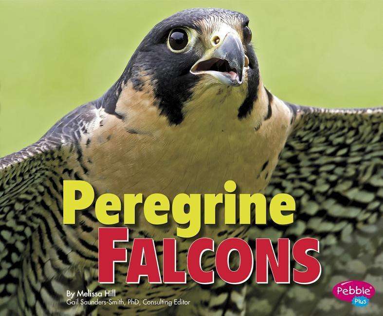 Vorderes Coverbild Peregrine Falcons