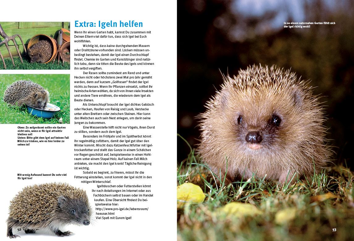 Beispielinhalt (Bild) Entdecke die Igel