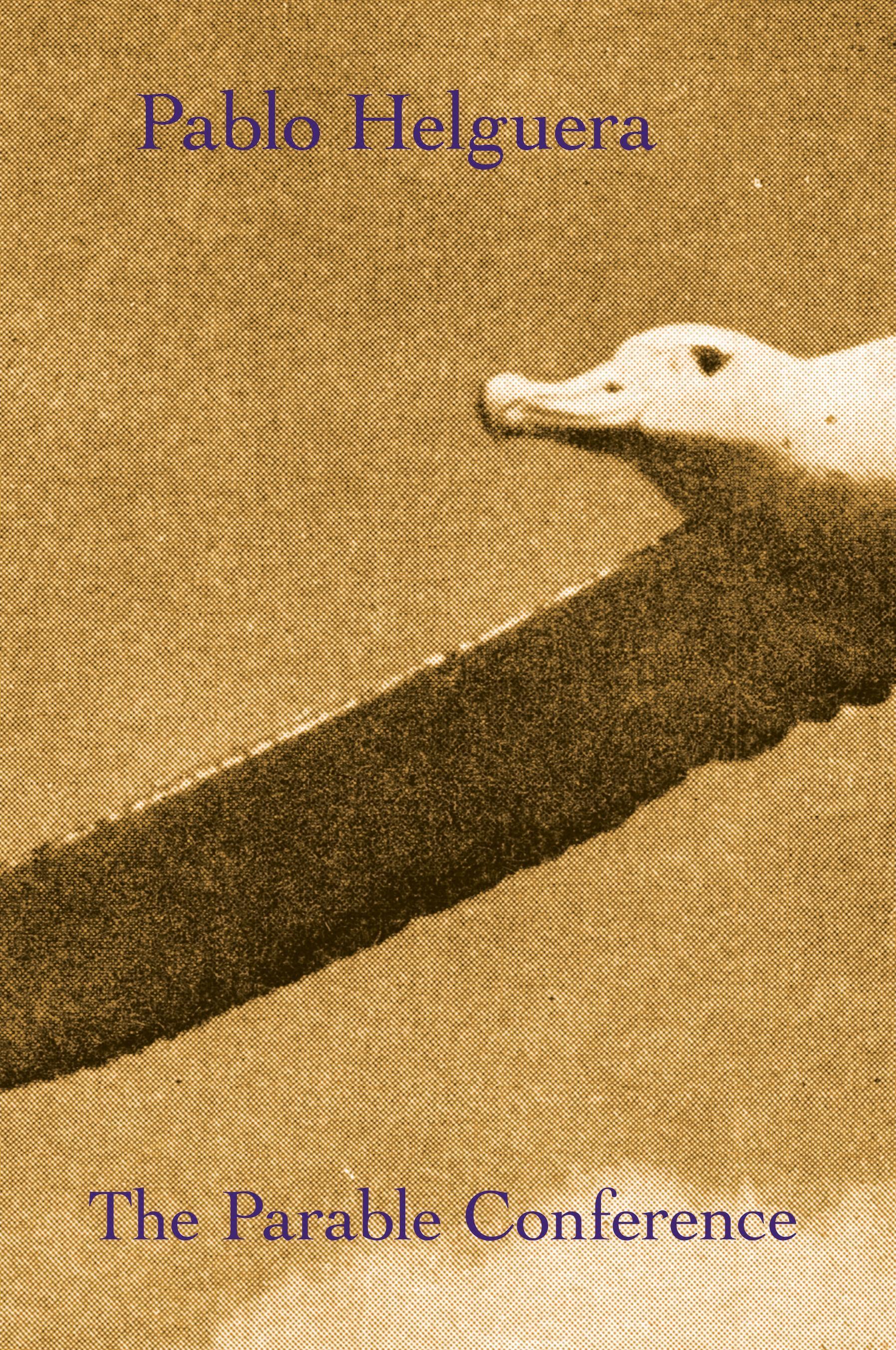 Vorderes Coverbild The Parable Conference