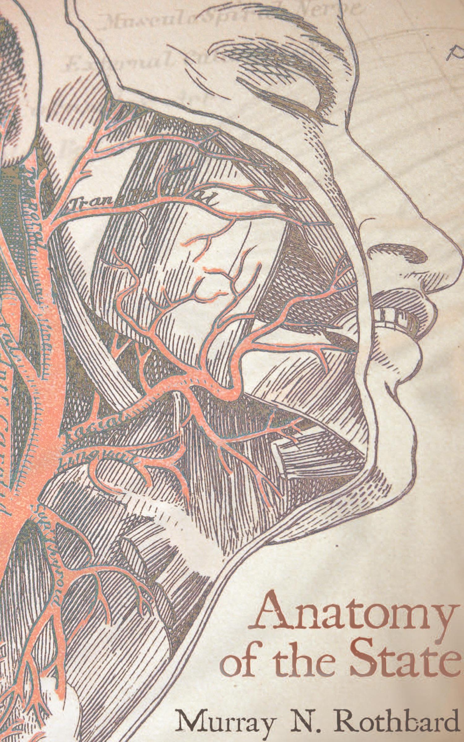 Vorderes Coverbild Anatomy of the State