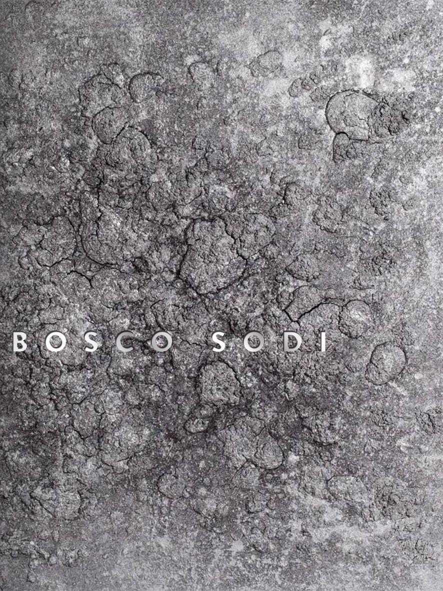 Vorderes Coverbild Bosco Sodi