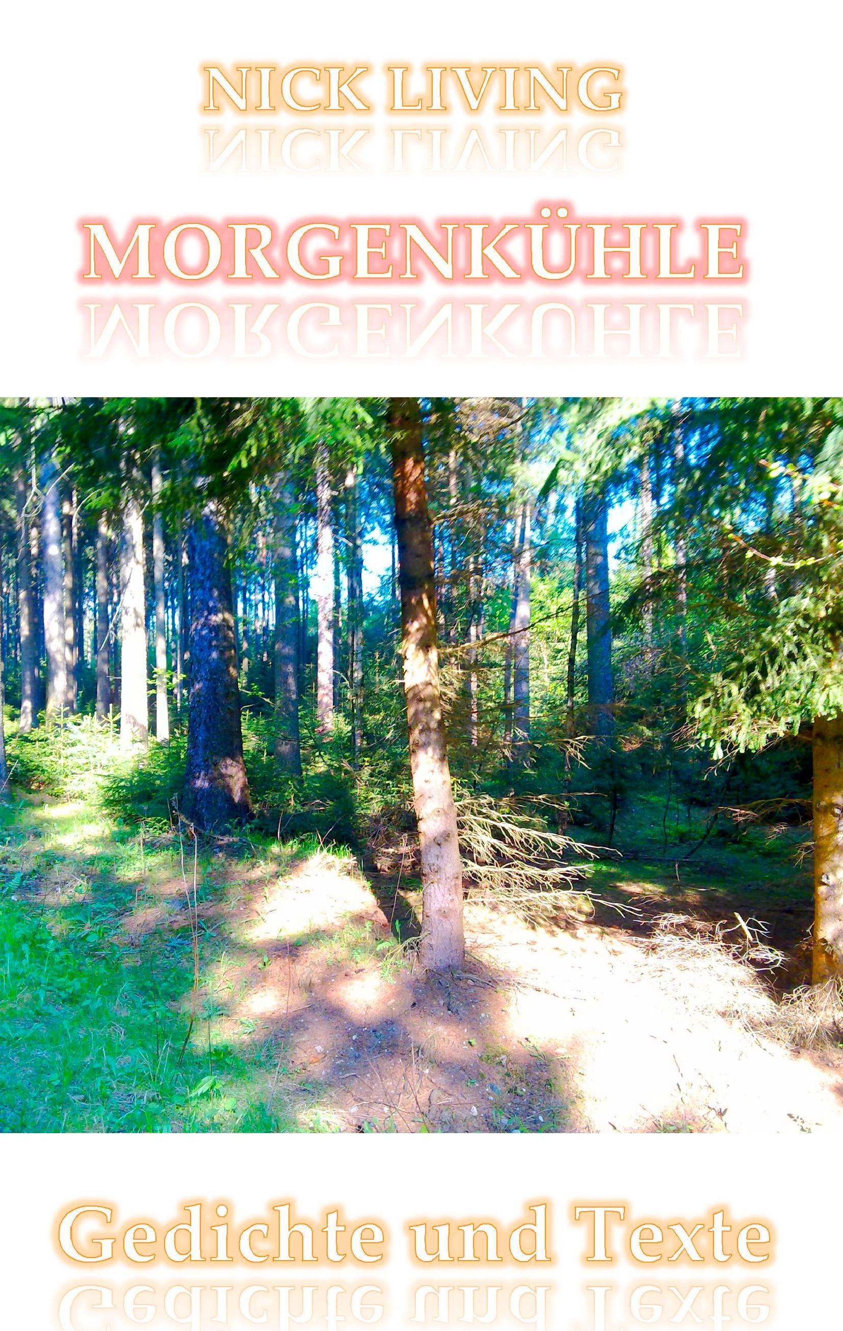 Vorderes Coverbild Morgenkühle