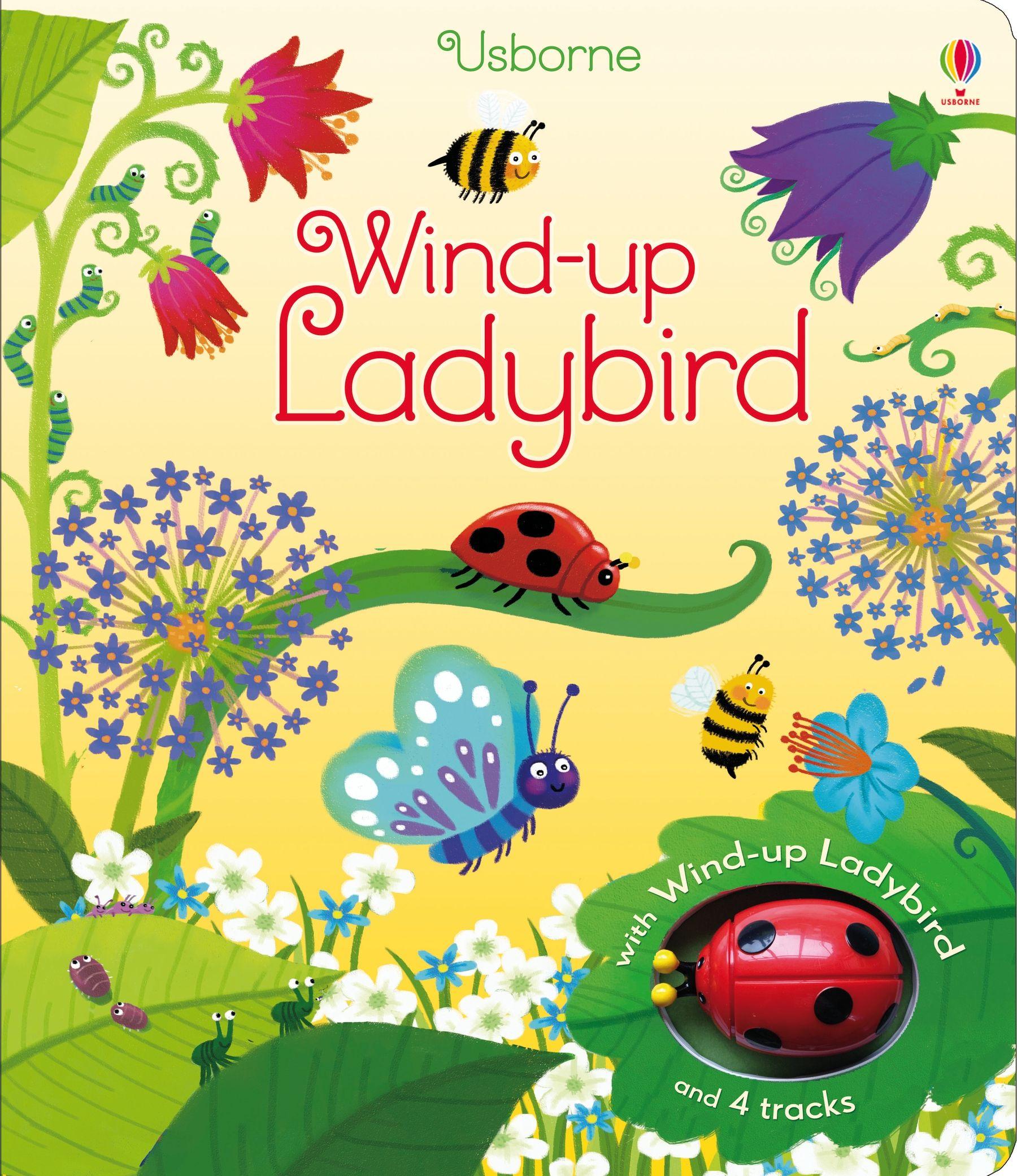 Vorderes Coverbild Wind-up Ladybird