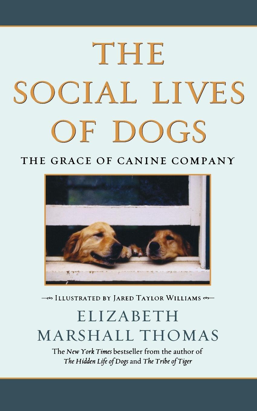 Vorderes Coverbild The Social Lives of Dogs