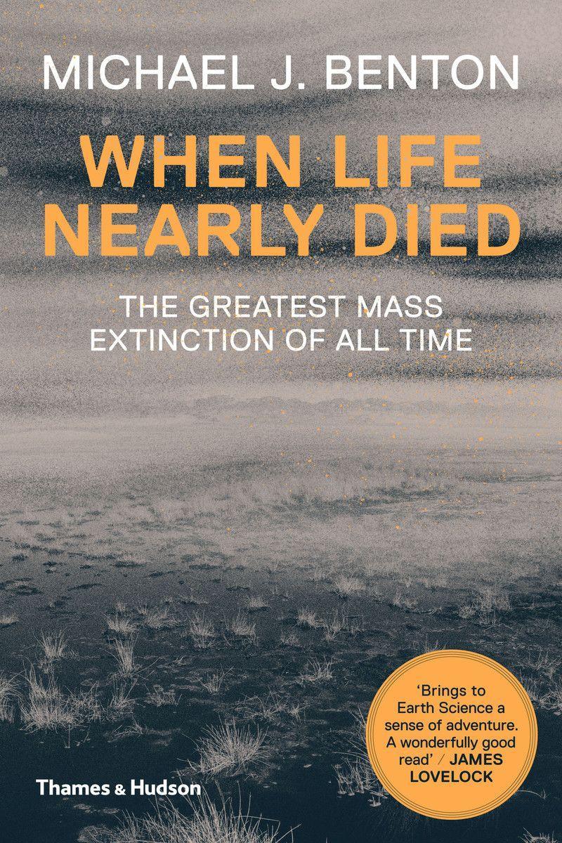 Vorderes Coverbild When Life Nearly Died