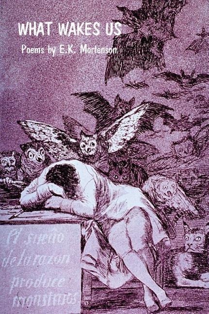 Vorderes Coverbild What Wakes Us