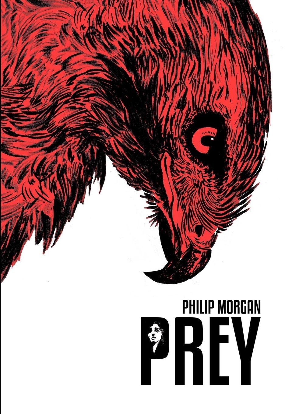 Vorderes Coverbild PREY