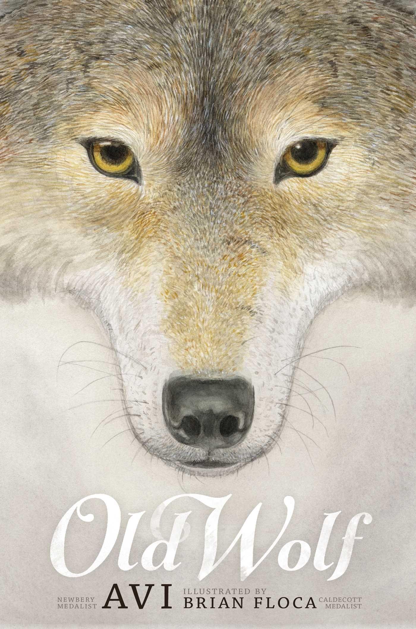 Vorderes Coverbild Old Wolf