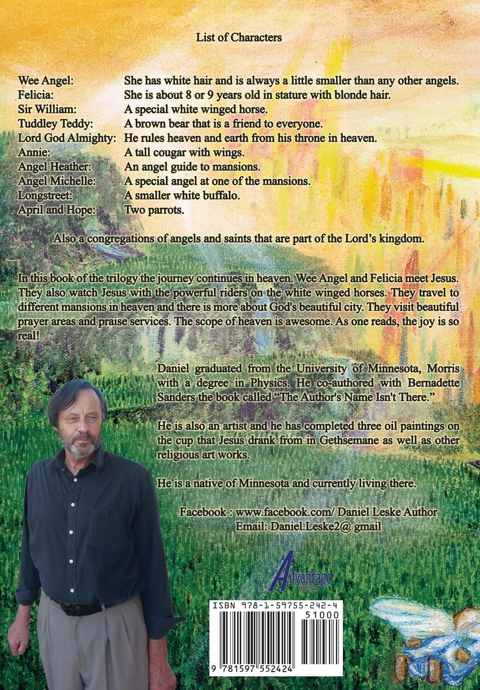 Rückseitencover The Joy of Heaven 2