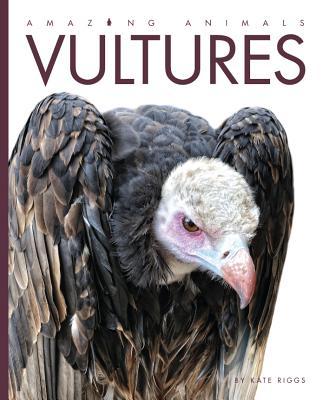 Vorderes Coverbild Amazing Animals Vultures