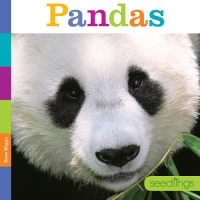 Vorderes Coverbild Seedlings Pandas