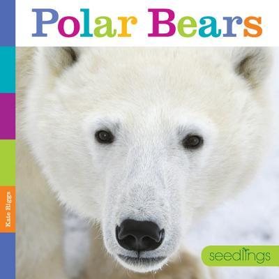 Vorderes Coverbild Seedlings Polar Bears