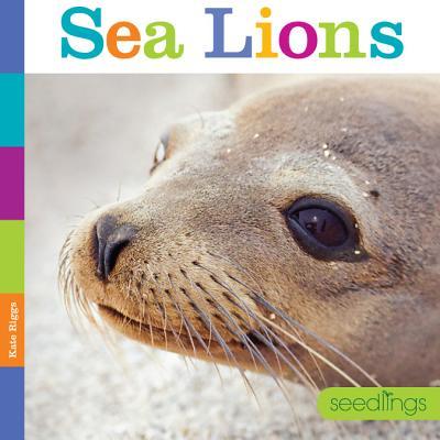 Vorderes Coverbild Seedlings Sea Lions