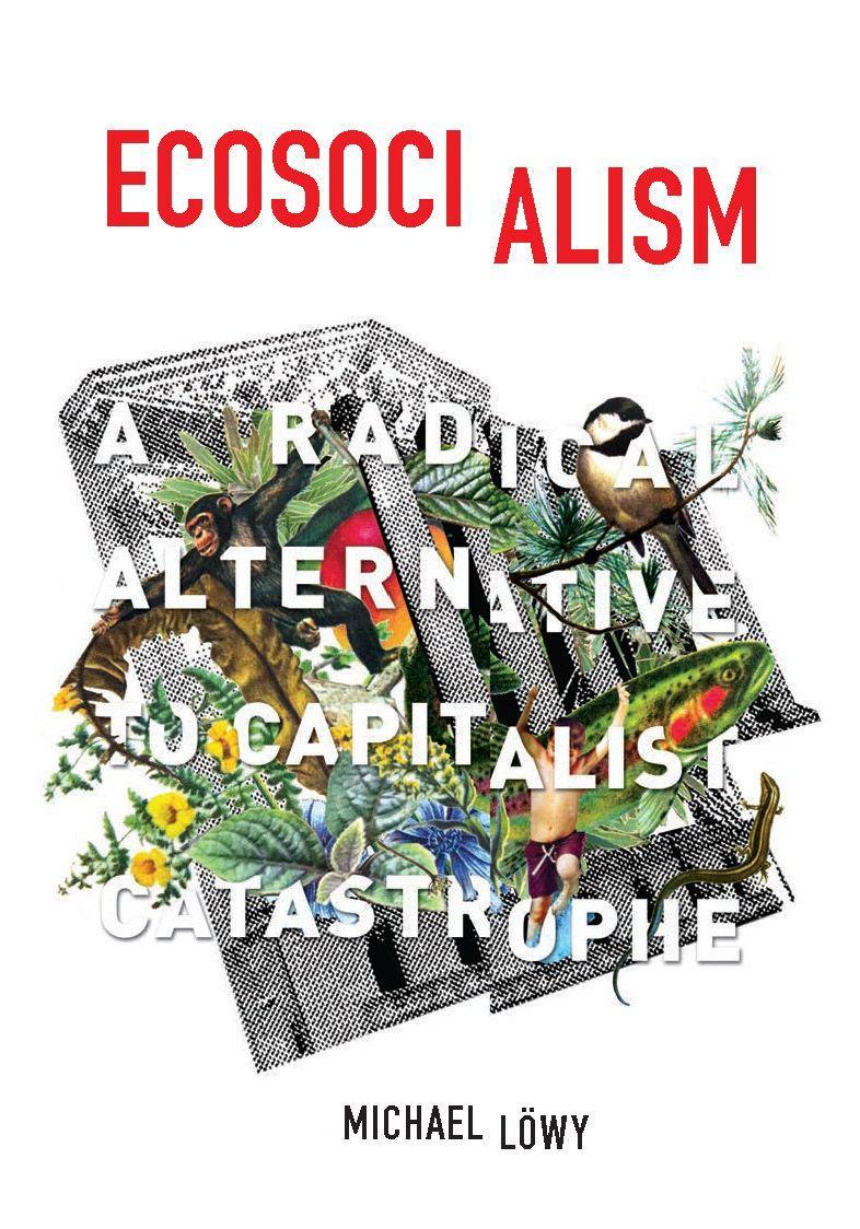Vorderes Coverbild Ecosocialism