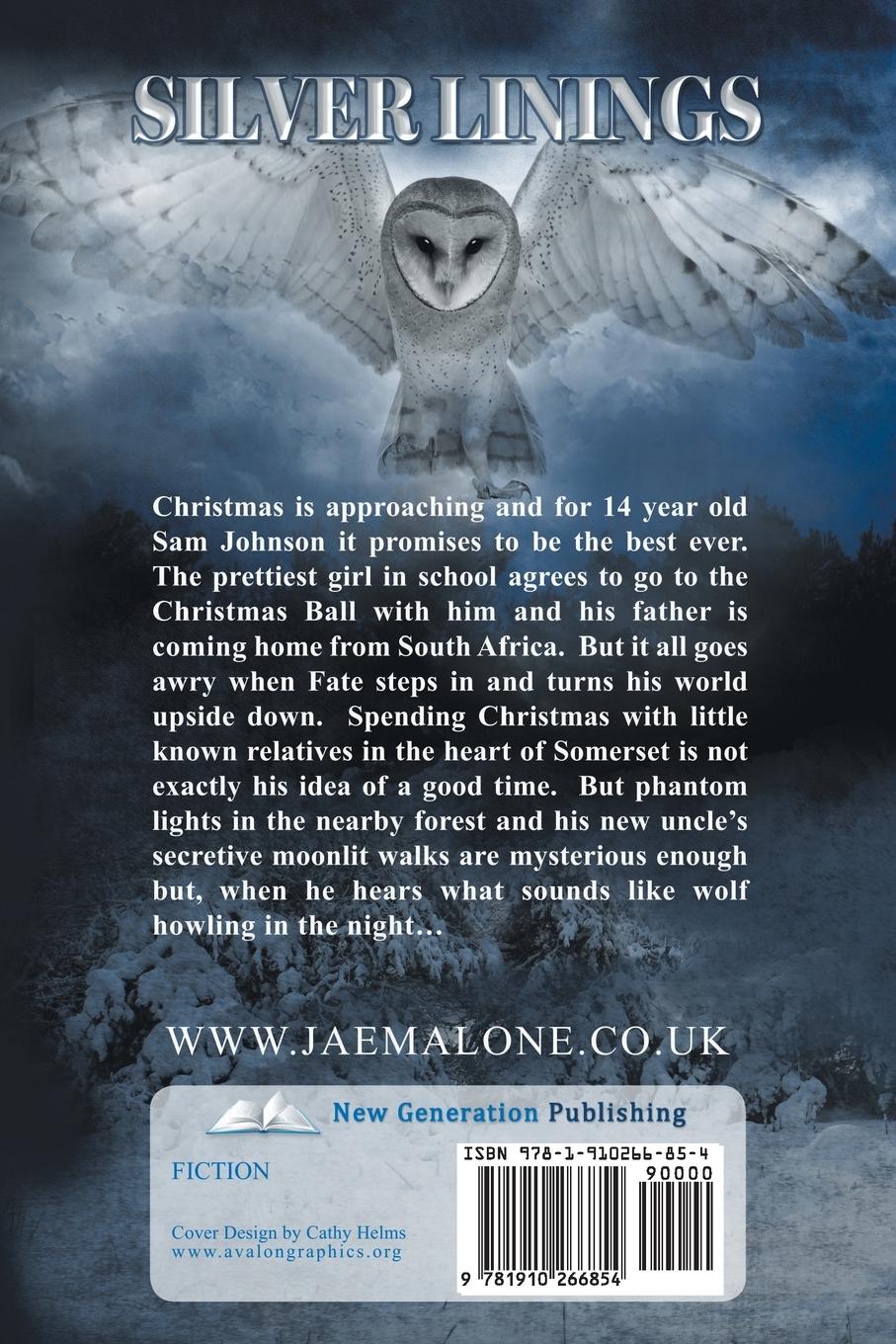 Rückseitencover Silver Linings