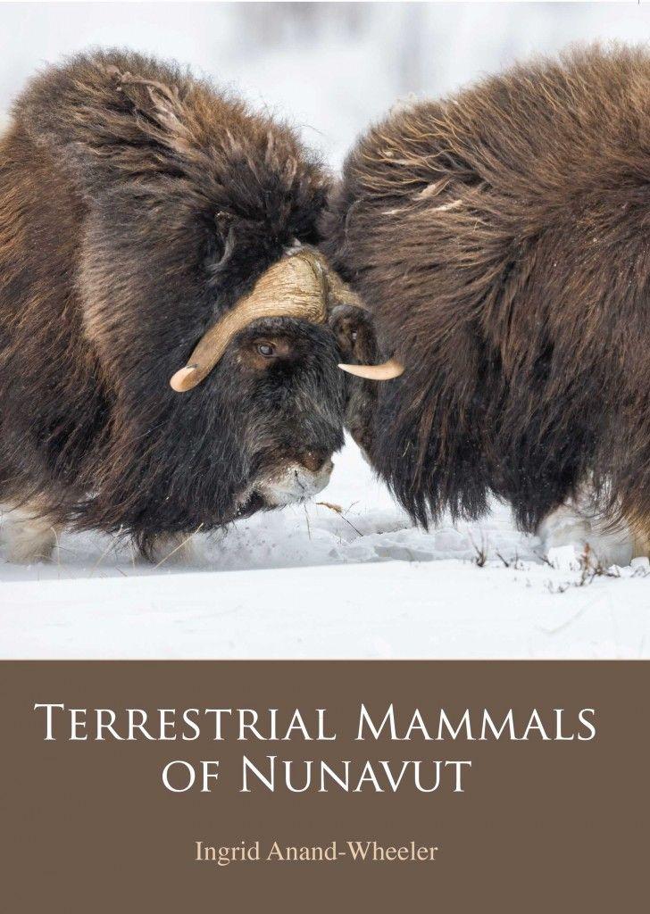 Vorderes Coverbild Terrestrial Mammals of Nunavut