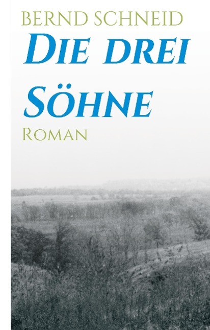 Vorderes Coverbild Die drei Söhne