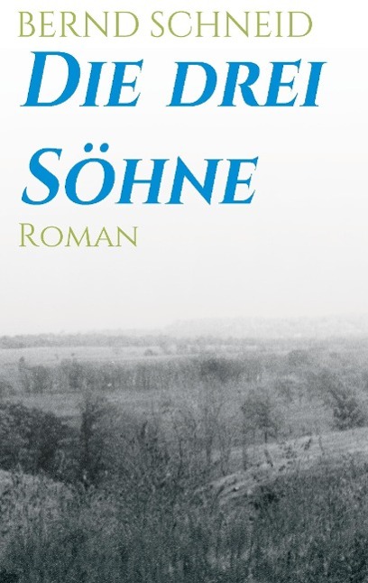 Vorderes Coverbild Die drei Söhne