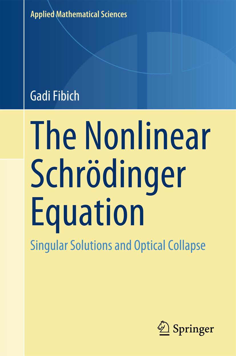 Vorderes Coverbild The Nonlinear Schrödinger Equation