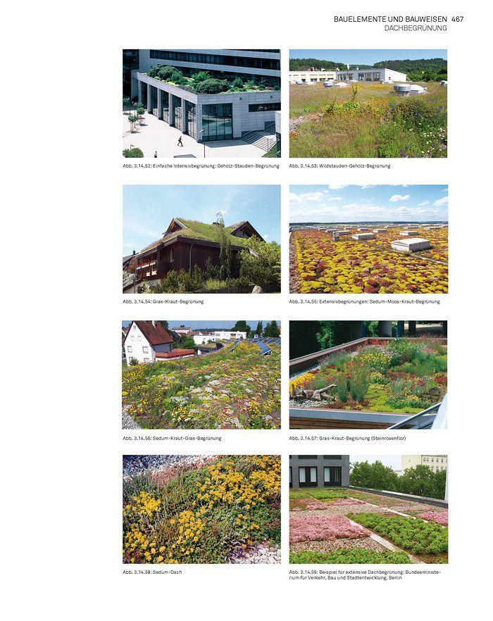 Beispielinhalt (Bild) Landschaft konstruieren