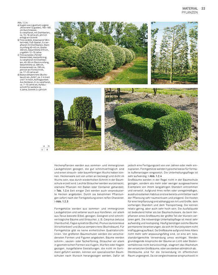 Beispielinhalt (Bild) Landschaft konstruieren