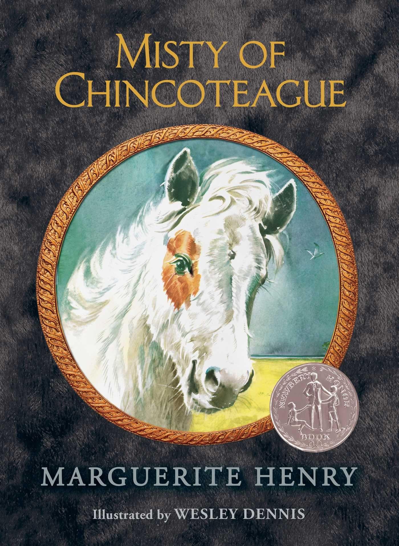 Vorderes Coverbild Misty of Chincoteague
