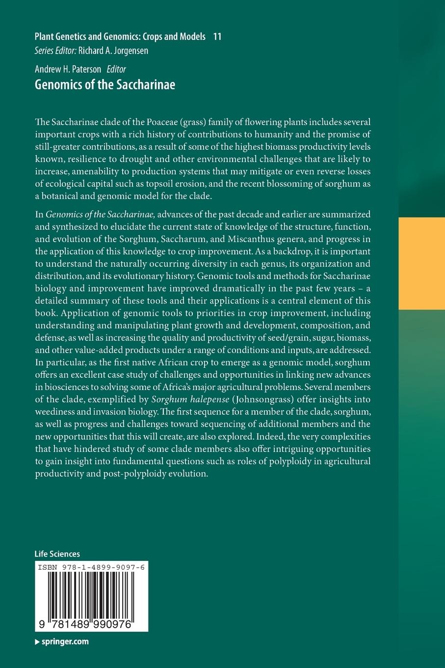 Rückseitencover Genomics of the Saccharinae