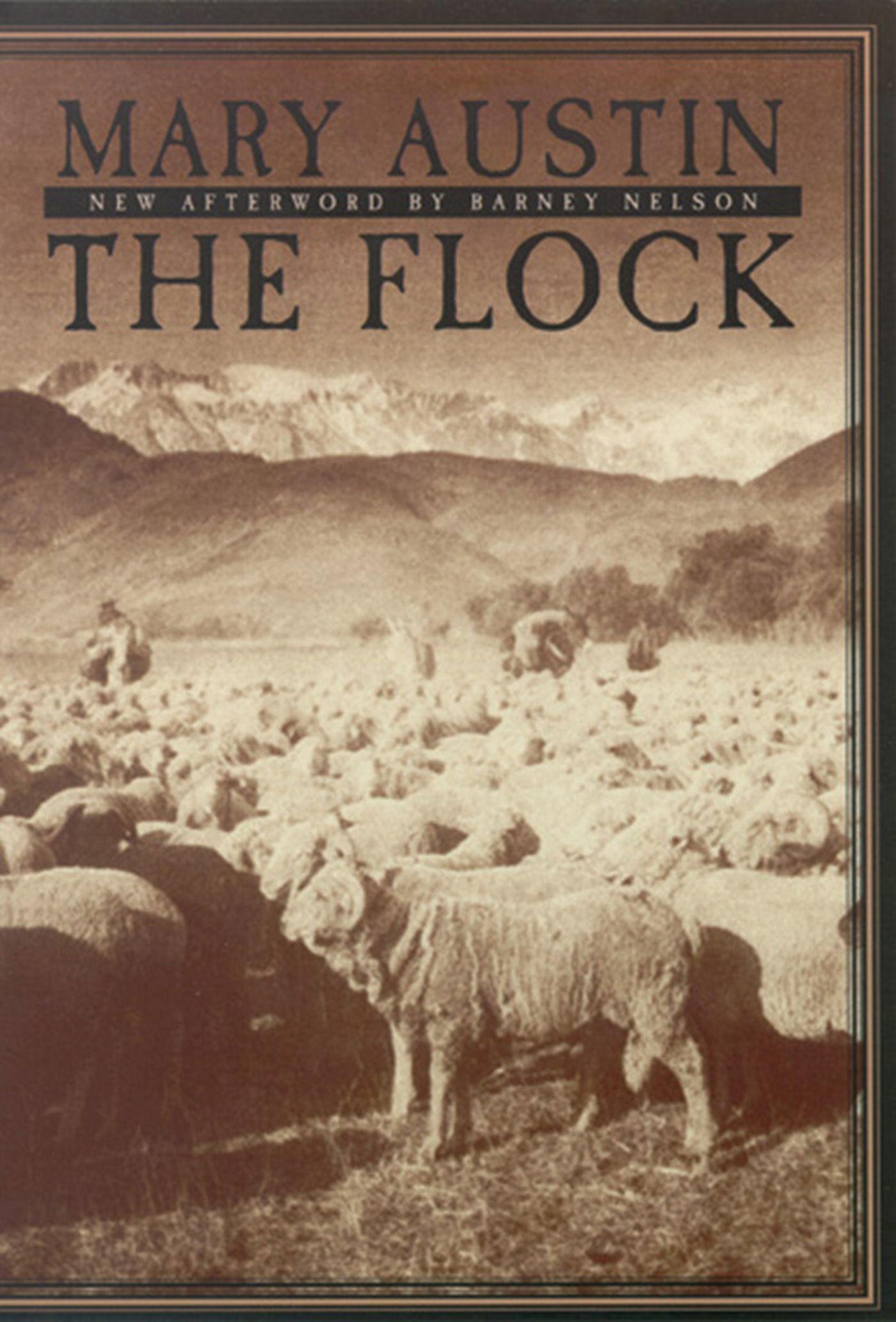 Vorderes Coverbild The Flock