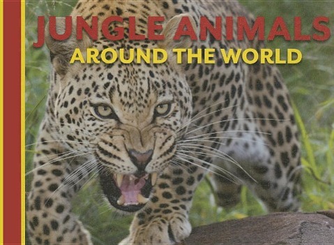 Vorderes Coverbild Jungle Animals Around the World