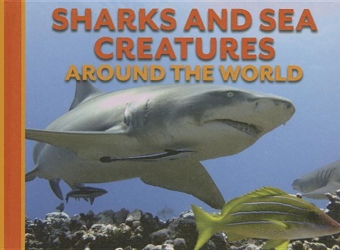 Vorderes Coverbild Sharks and Sea Creatures Around the World