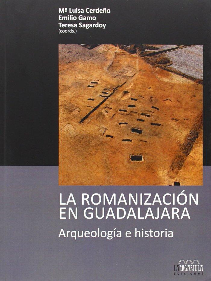 Vorderes Coverbild La romanización en Guadalajara : arqueología e historia