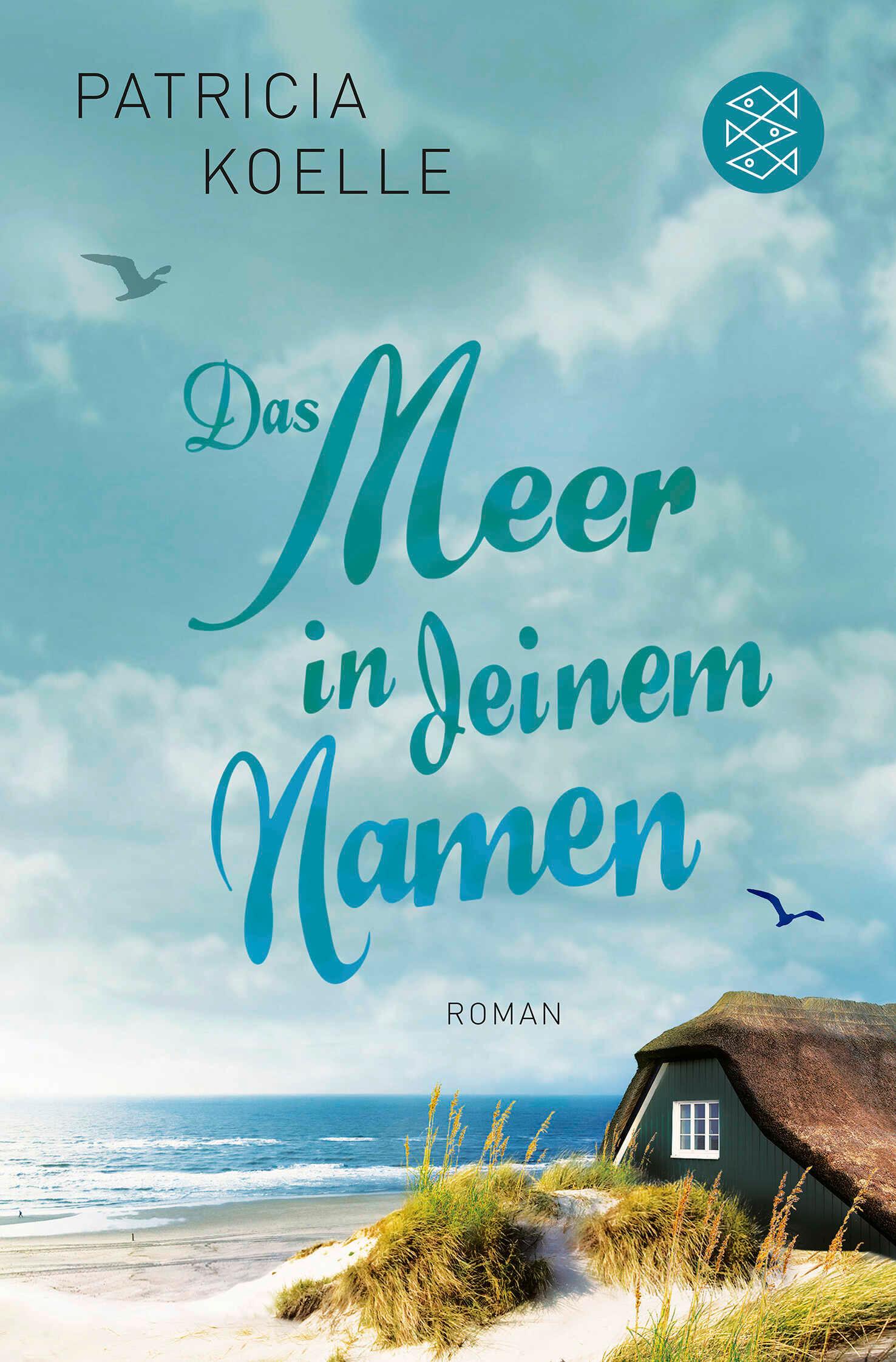 Vorderes Coverbild Das Meer in deinem Namen
